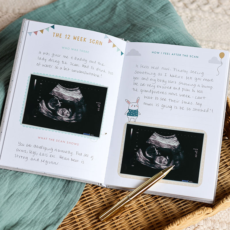 Pregnancy & Early Years